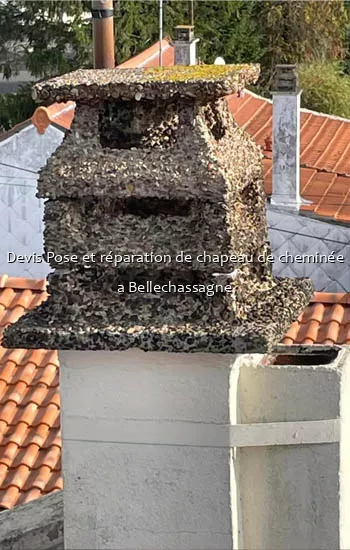 Devis Pose et réparation de chapeau de cheminée a Bellechassagne