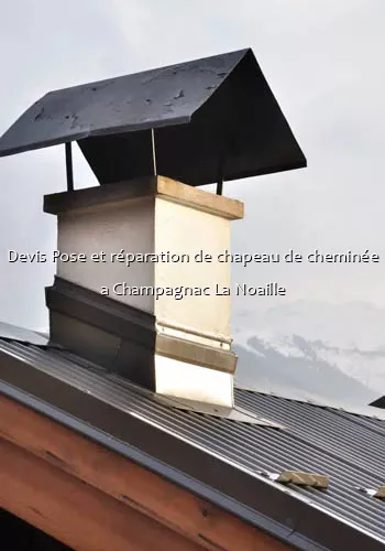 Devis Pose et réparation de chapeau de cheminée a Champagnac La Noaille