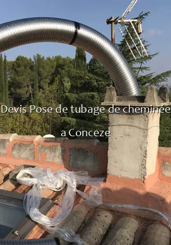 Devis Pose de tubage de cheminée a Conceze