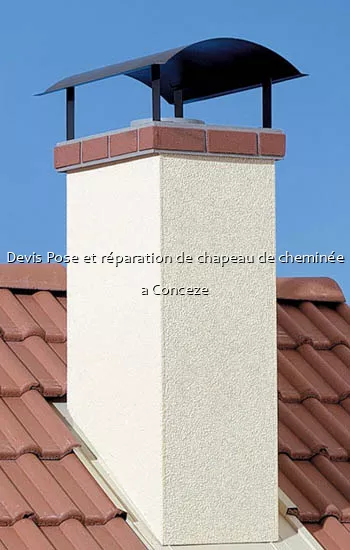 Devis Pose et réparation de chapeau de cheminée a Conceze