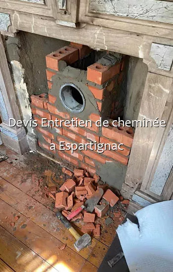 Devis Entretien de cheminée a Espartignac