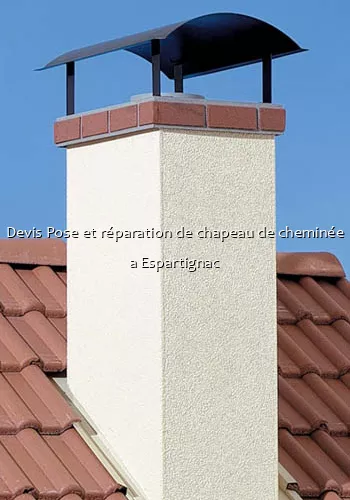 Devis Pose et réparation de chapeau de cheminée a Espartignac