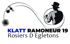 ramoneur-klatt-ramonage