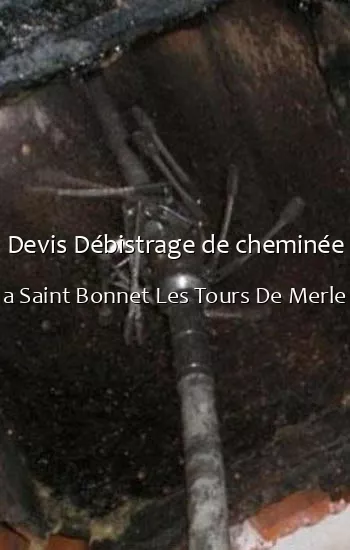 Devis Débistrage de cheminée a Saint Bonnet Les Tours De Merle