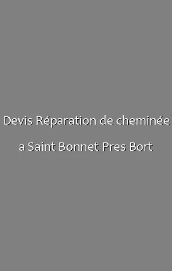 Devis Réparation de cheminée a Saint Bonnet Pres Bort