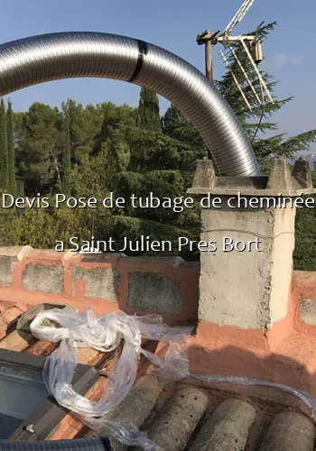 Devis Pose de tubage de cheminée a Saint Julien Pres Bort