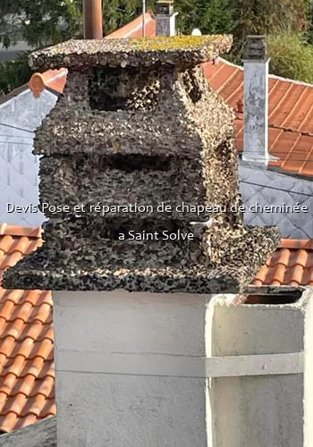 Devis Pose et réparation de chapeau de cheminée a Saint Solve